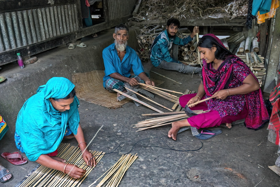 Rural houses in Bangladesh Delta
