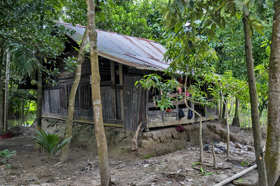 Rural houses in Bangladesh Delta