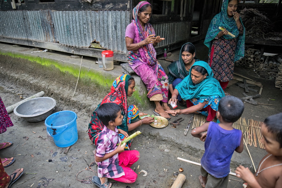 Rural houses in Bangladesh Delta