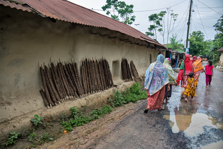 Rural houses in Bangladesh Delta