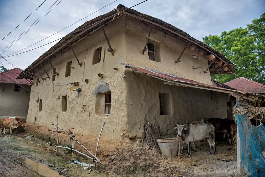 Rural houses in Bangladesh Delta