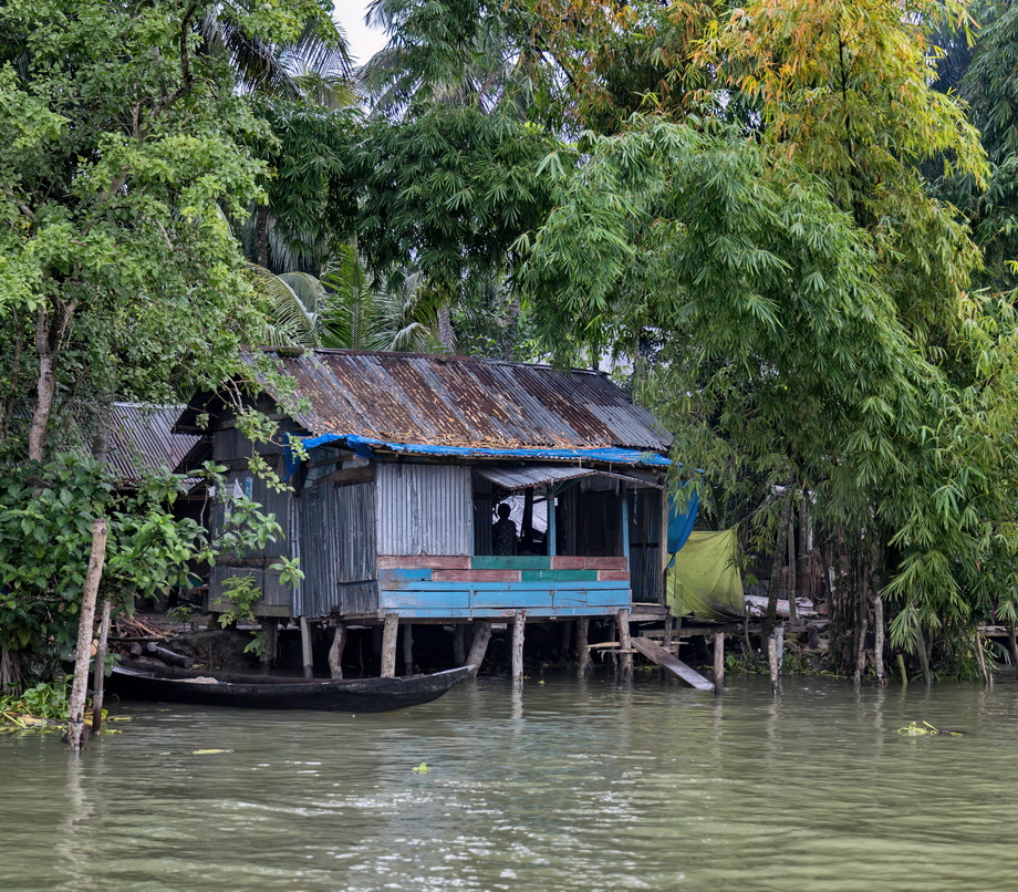 Rural houses in Bangladesh Delta