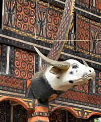 Tongkonan