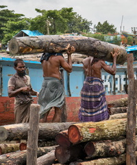 Wodd trade in Bangladesh