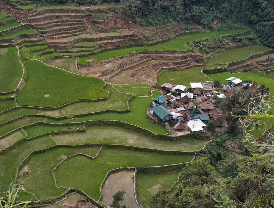 Ifugao People