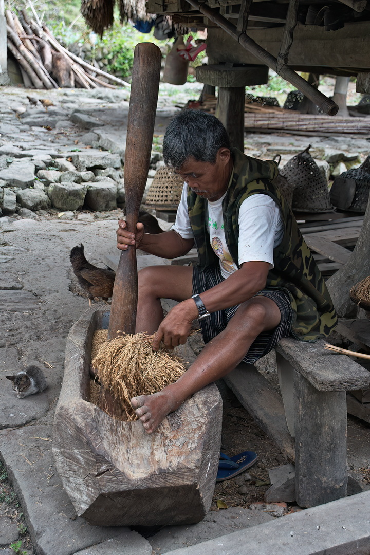 Ifugao People