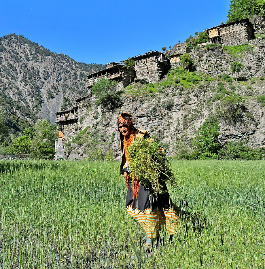 Kalash People