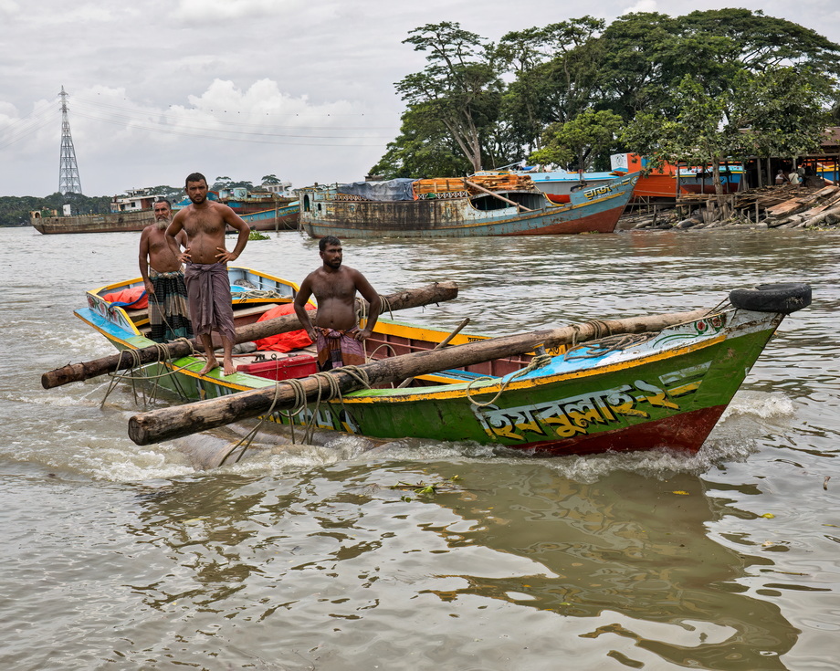 Wood exploitation in Bangladesh