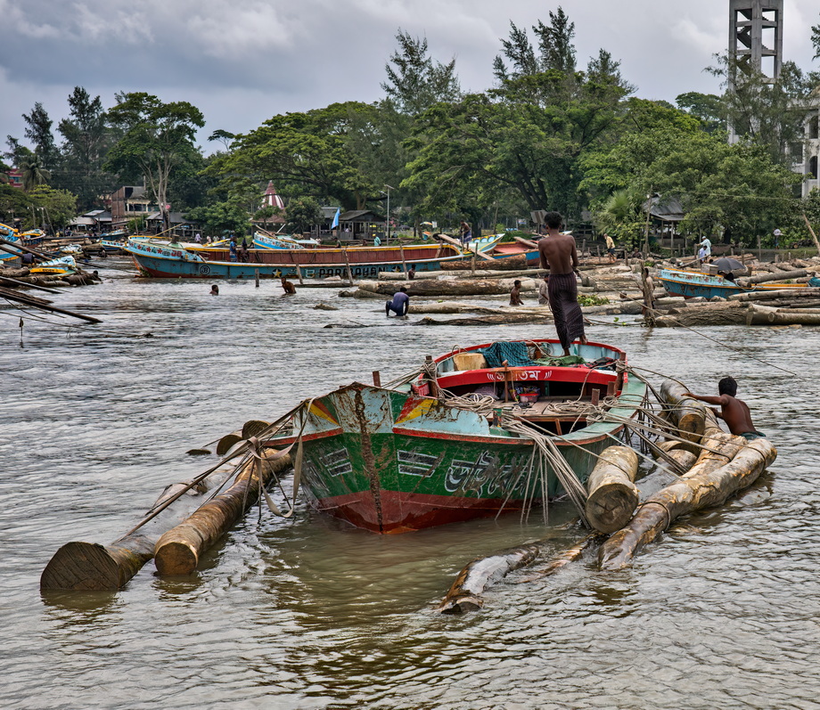 Wood exploitation in Bangladesh