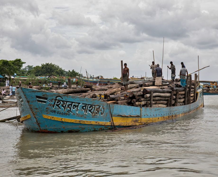 Wood exploitation in Bangladesh