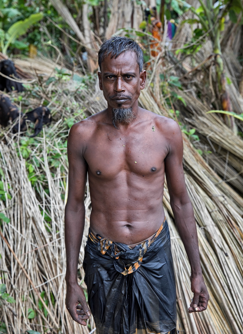 Jute harvesting and processing in Bangladesh