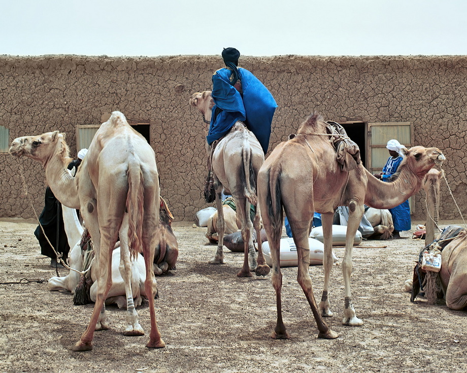 Tuareg People